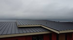 Best Metal Roofing Installation  in Altavista, VA